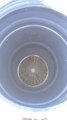 PE BARREL 220 L USED, BLUE COLOUR, SCREW LID(3)3