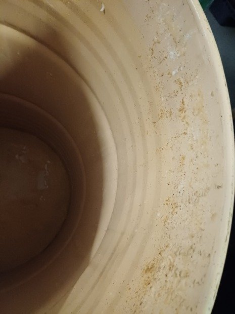 SHEET SUD 200 L USED OUTSIDE INSIDE VARNISHED REMOVABLE LOAD CAP(5)